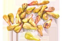 Hrozny