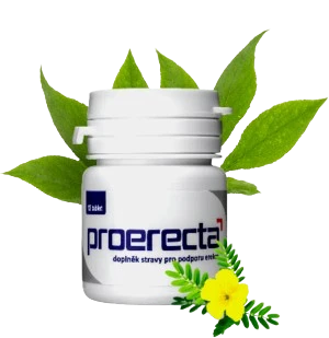 Proerecta Klasik